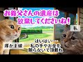【スカッと猫ミーム】主人の遺産目当てに長男嫁があまりにも厚かましいので縁を切って制裁完了ｗｗ #猫マニ #猫ミーム