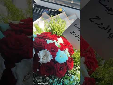 يا مية هلا رجعت ل صدري الروح حلب سوريا سورية    بنت حلب الشهباء