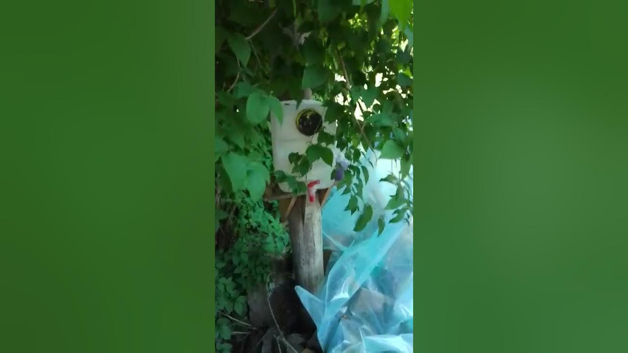 Why and how to use a dry toilet at Hastekasen YouTube