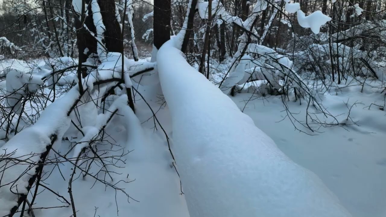 Зимняя сказка в Измайловcком парке | Январь 2026 | Зима в Москве