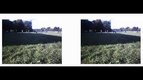 Automated Victim Detection by a Search and Rescue Robot
