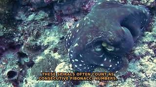The Hidden Code That Shapes All Life Revealed