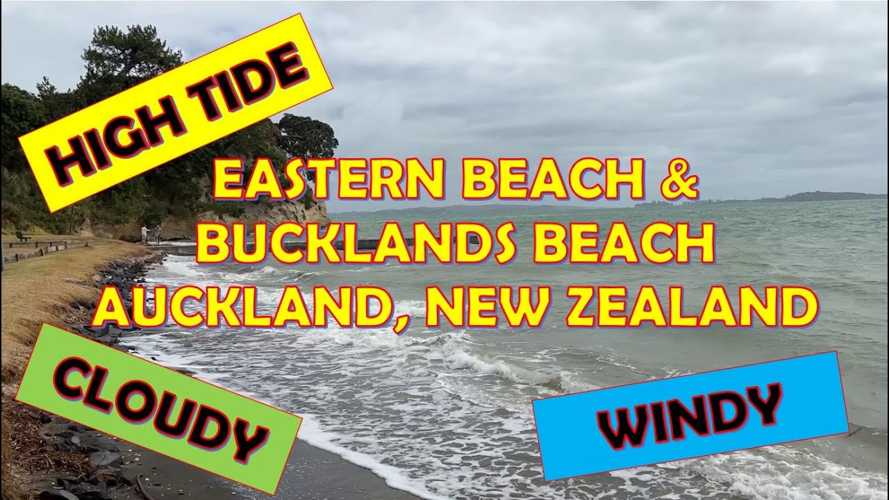 High Tide and Windy at EASTERN and BUCKLANDS Beaches Auckland New