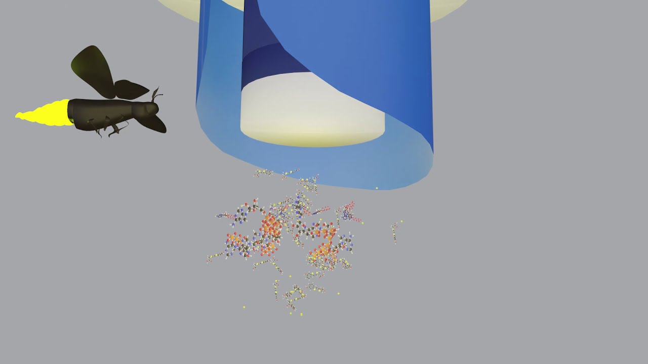 The Science Inside: Testing for ATP