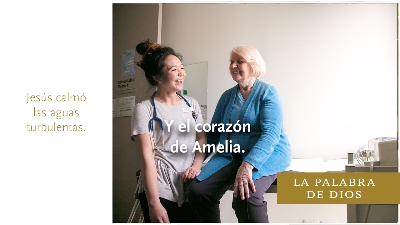 Principios sobre la Paz: La Palabra de Dios , #PrincipedePaz