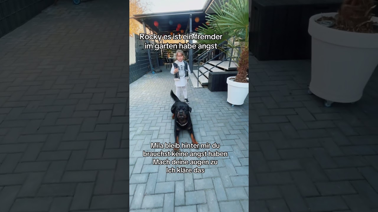 #hund