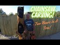 Chainsaw Carving Two Bears In A Tree!
