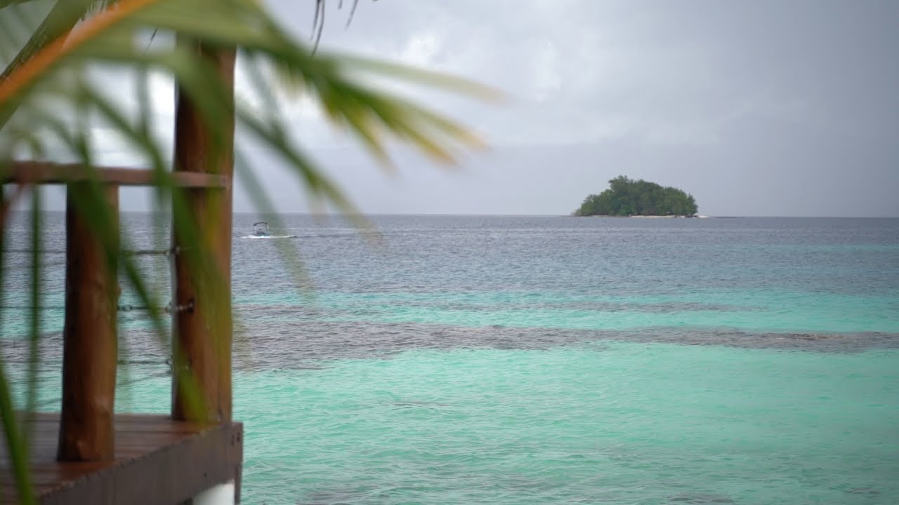 Bond Med Students in the Solomon Islands