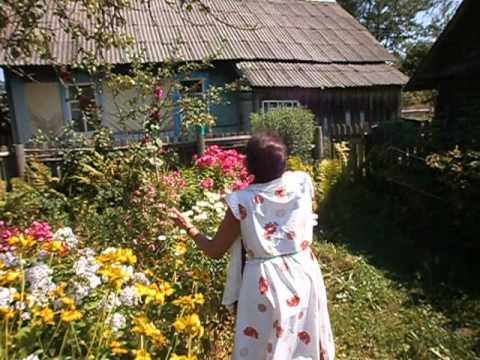 Течет калина в поле у ручья