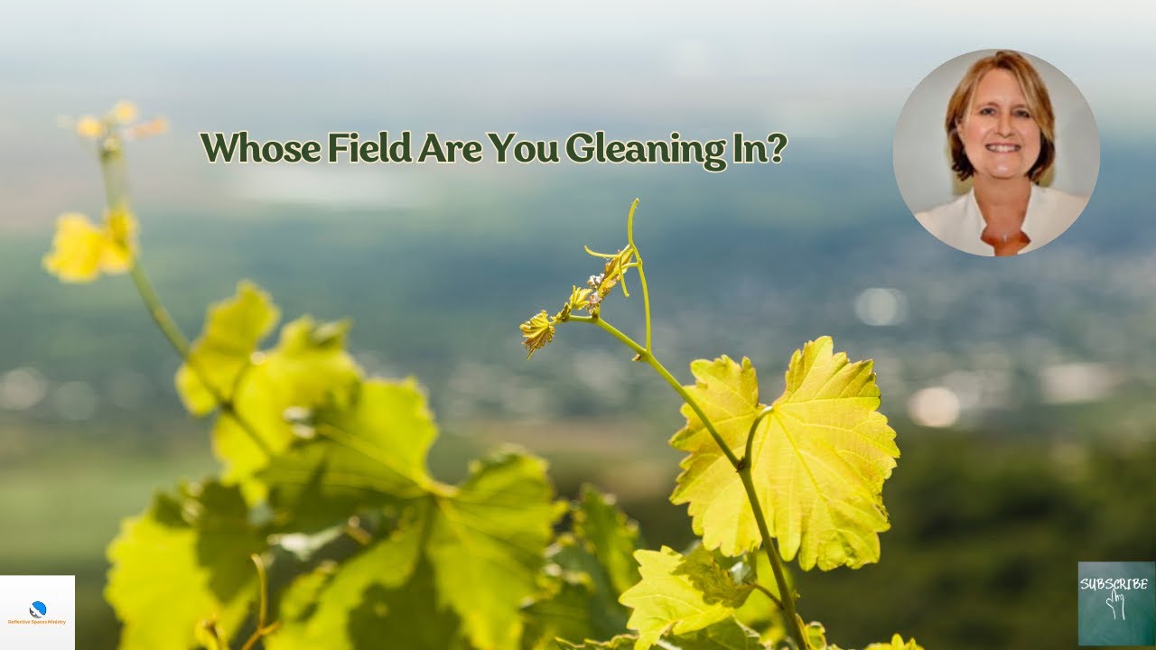 Whose Field Are You Gleaning In?