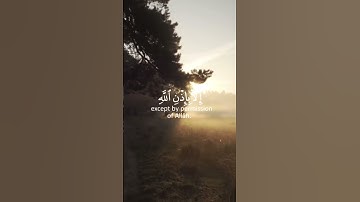 سورة التغابن ايه(١١)