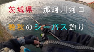 茨城県那珂川の河口でシーバスチャレンジ Youtube