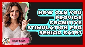 How Can You Provide Cognitive Stimulation For Senior Cats? - Happy Cat Handbook