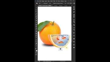 Orange Fish Manipulation - Photoshop Tutorial