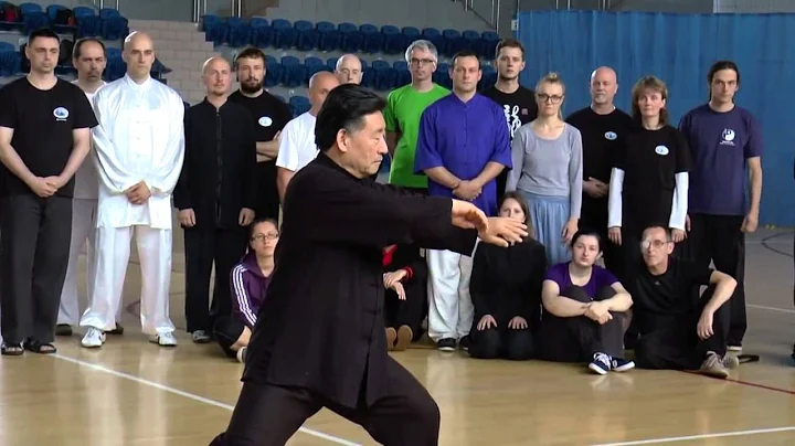 Tai Chi Forms 1 - Chen Xiao  Wang - DayDayNews