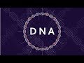 Decoding DNA: The Blueprint of Life