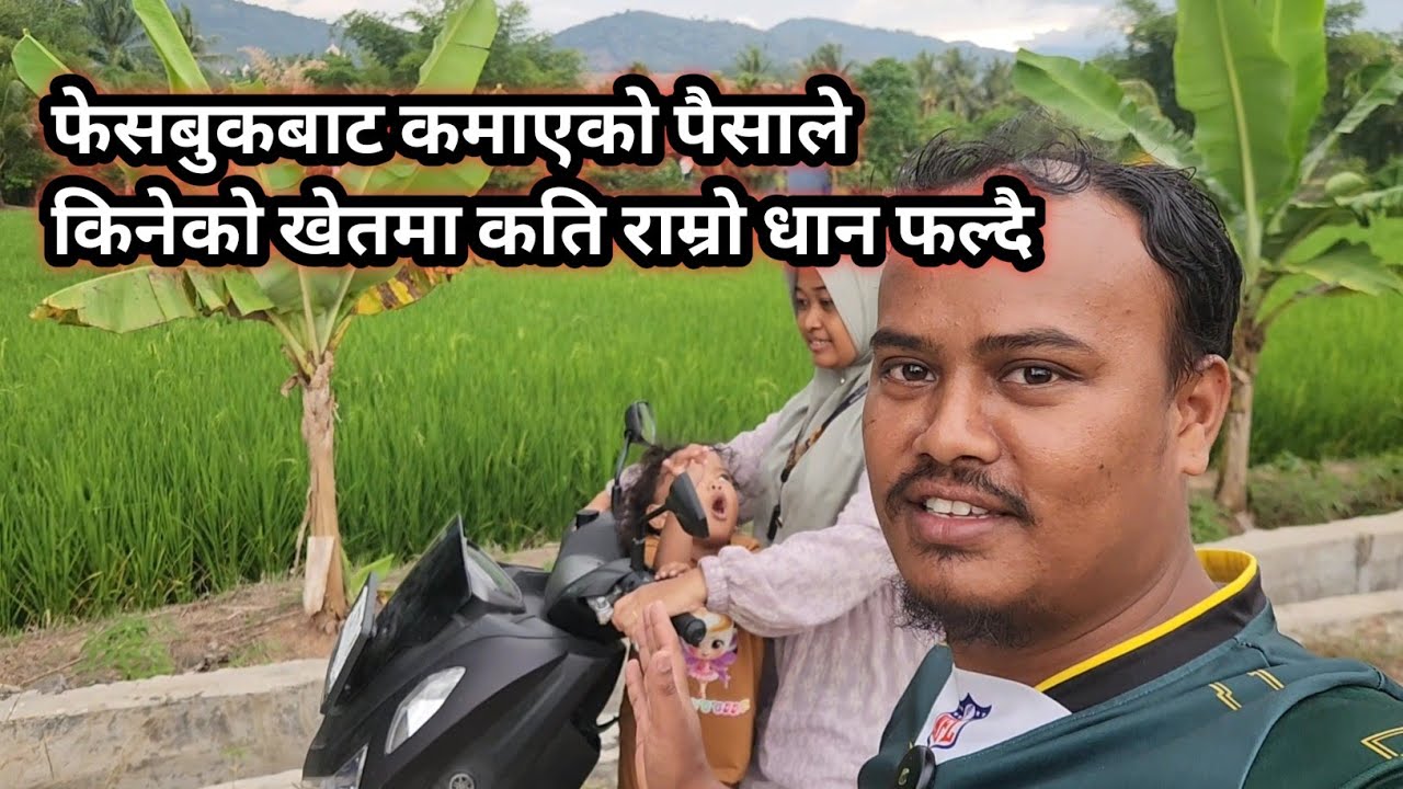 फेसबुकको पैसाबाट किनेको खेतमा कति राम्रो धान फल्यो 😘😘 My vlog video 