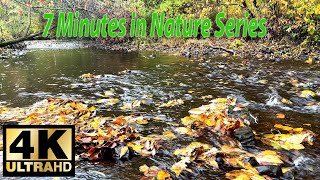 Relaxing Babbling Brook with Soft Rain and Falling Leaves.  7 Minutes of Peaceful Nature Sounds screenshot 4