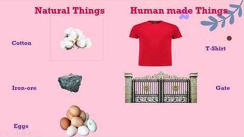 std 1 & 2 Revision /  Computer A Machine/  Computer