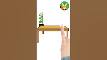 🐯 Nutrition for Resilience: Foods That Boost Mental Health #resilience #tigertribe #potential