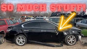 I Found CASH, iPhones, Weapons & MORE In These Abandoned JUNKYARD Cars! It