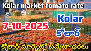 7-10-2025) Kolar tomato market price today 