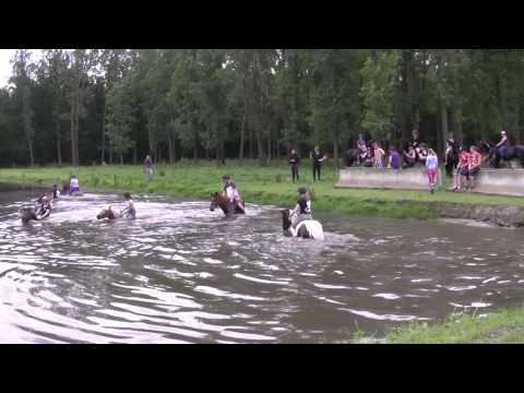 Zwemmen met paarden vanaf de wal gezien - 2014/06/15