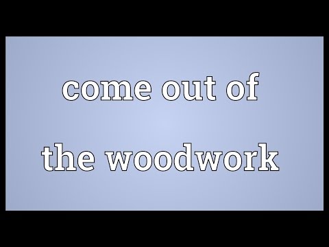 Video: In the woodworks meaning?