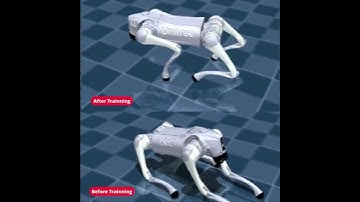 Training a Unitree Go2 with Reinforcement Learning (Brax & MJX)