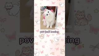 pov jadi kucing🐱🐈 ib:@kelloppii #pov #fypシ゚viral #lewatberanda