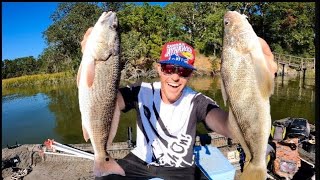 Whiting vs Redfish Catch n’ Cook! Which tastes better??