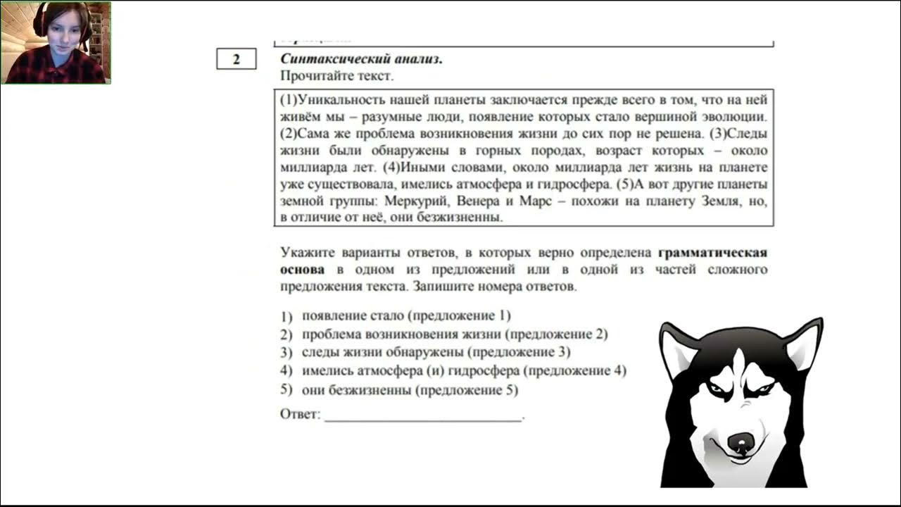 Грамматика огэ задание. Грамматика огэ задание