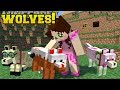 Minecraft: TOO MANY WOLVES!!! (CAKE WOLF, DIAMOND WOLF,  ZOMBIE WOLF, & MORE!) Mod Showcase