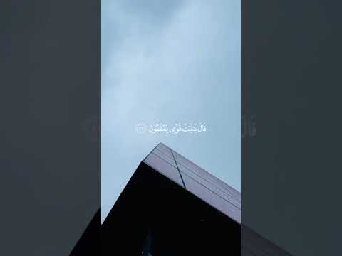 ق يل اد خ ل ال ج ن ة القارئ محمد هشام سورة يـس