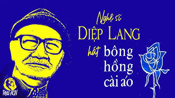 XÚC ĐỘNG CẢI LƯƠNG ‘BÔNG HỒNG CÀI ÁO’ (NGHỆ SĨ DIỆP LANG)