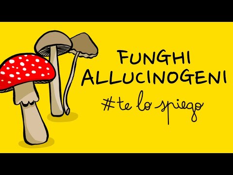 Video: Quello Che C'è Da Sapere Sui Funghi