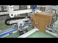 Ricco  altopack  automatic case packer unio 20th