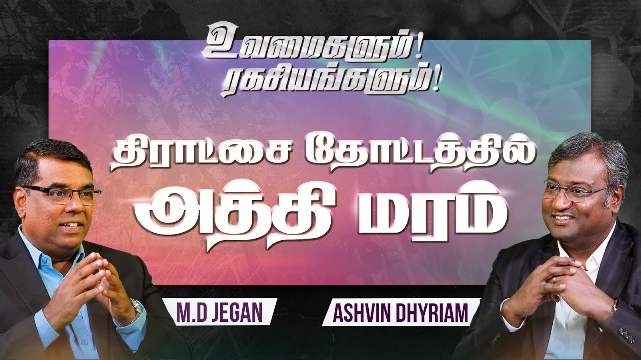 உவமைகளும் ரகசியங்களும் | Secrets Of Parables | Fig Tree In The Vineyard | Episode 12