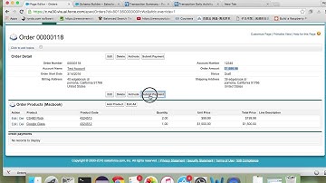 SalesForce Credit Card Payment Project Demo