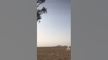 دحيم الحماد 1443ه تلاوة من سورة هود
