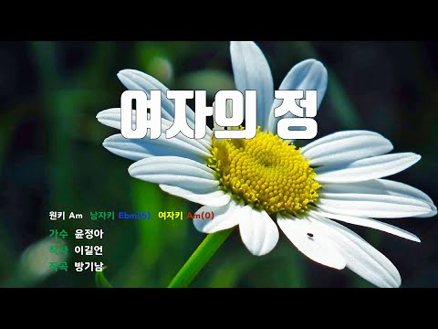 [은성 반주기] 여자의정 - 윤정아