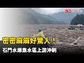 密密麻麻好驚人！石門水庫集水區上游沖刷 大批漂流木卡住河道船隻