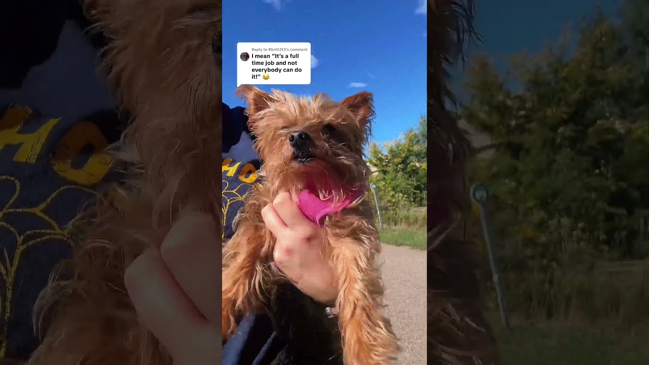 Мне пришлось брать ее на прогулки и все такое 