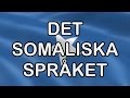 Somaliska språket • Översättning till somaliska - YouTube