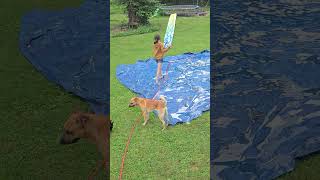 Backyard Boogie Board Academy 🌊🏄‍♀️ #summerfun #boogieboarding #budgetfriendly