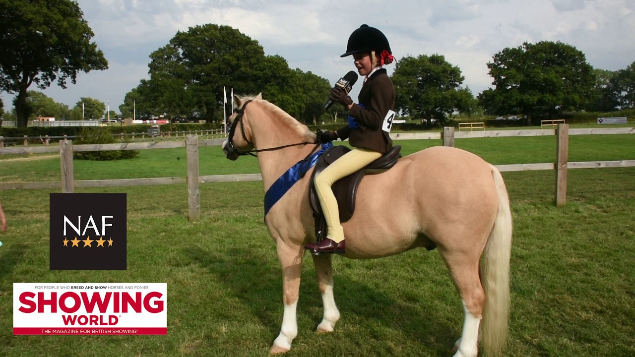 Class 188 BSPS Heritage M&M Reserve Supreme Mini Champion   Blisland Echo