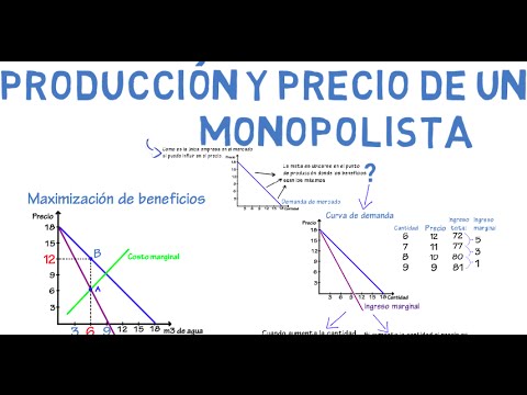 Video: ¿Dónde se maximizan las ganancias de un monopolista?