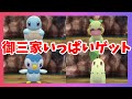 地下でレアな御三家ゲット作戦！【ダイパリメイク】ポケモンシャイニングパール