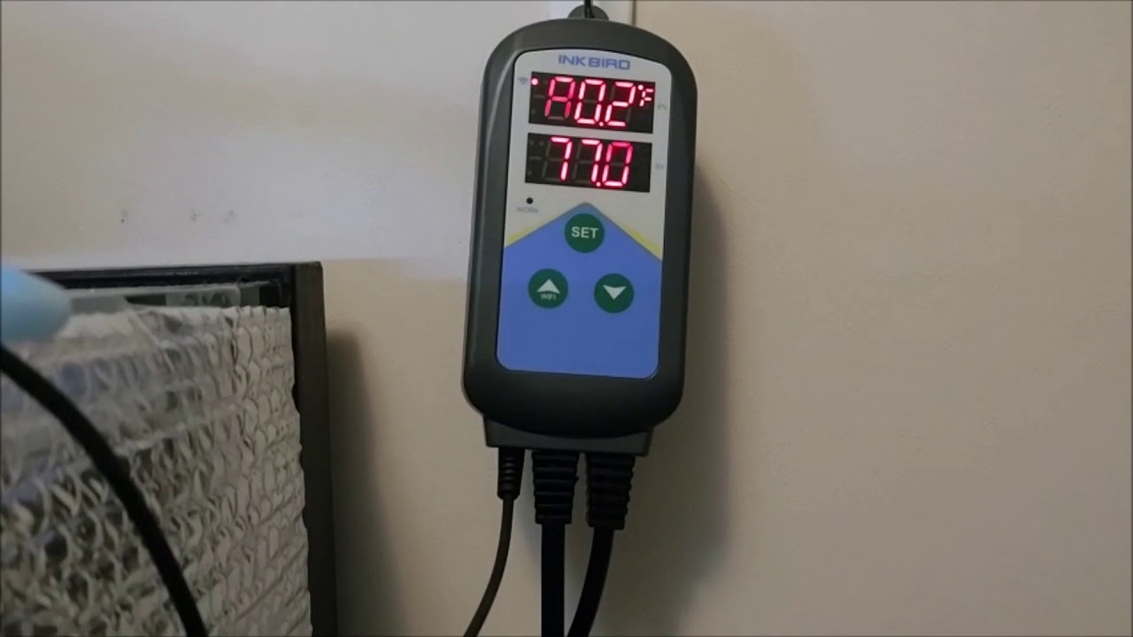 Inkbird Temperature Controller Review – Land Hermit Crab Owners