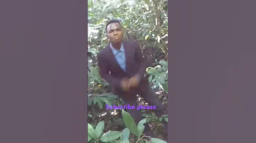Bwana Usikie Kilio Changu 